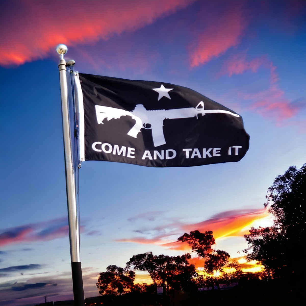 Come and Take It Flag (Black)